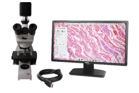 三目显微镜观察系统(图1)